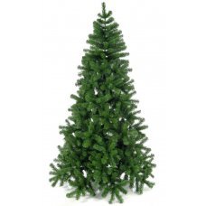 Χριστουγεννιάτικο Δέντρο Deluxe Super Colorado King Size (4m)